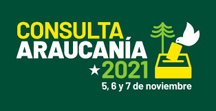 ¿Es representativa la consulta ciudadana en la Araucanía?