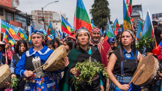 ¿A quiénes beneficia el odio racial en Wallmapu?