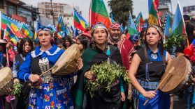 Estado plurinacional: el debate mapuche actual