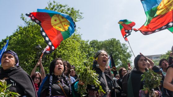 Un viaje a la libertad en La Araucanía