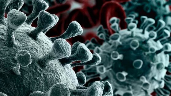 ¿Las temperaturas altas pueden detener la expansión del coronavirus?