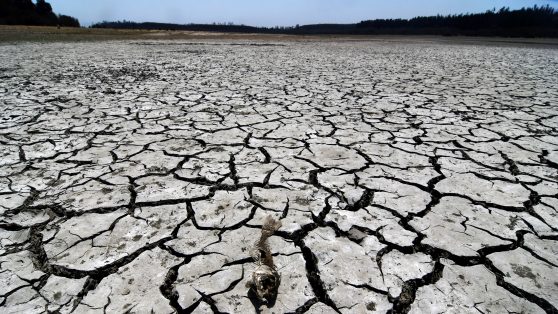 ¿Por qué es peligroso negar el cambio climático?