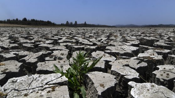 Desafíos para el progresismo post-primarias: ¿cómo se abordará la crisis hídrica?