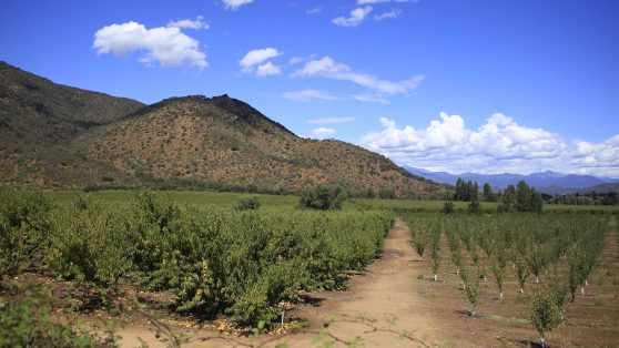Cómo la ciencia puede sanar nuestros suelos