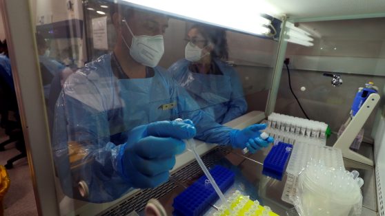 A propósito de la realidad alterada sobre las ciencias en Chile
