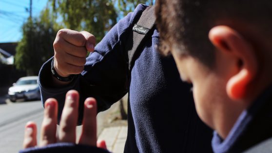 Revisar mochilas no salva vidas: la evidencia que Chile no puede ignorar
