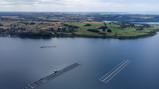 La ofensiva contra la Ley Lafkenche y los mitos sobre los ECMPO