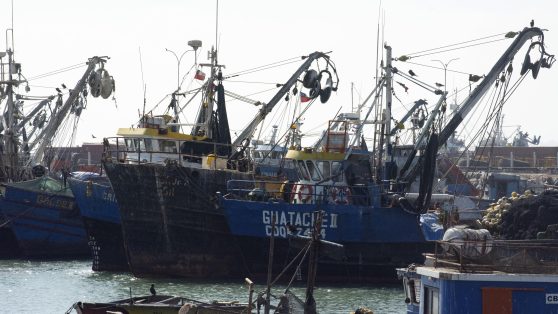 Mineras y pesqueras recibieron $6.700 millones en subsidios pese a prohibición legal