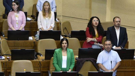 Nueva representación femenina en el Congreso: dinámicas ideológicas, recambio generacional y brechas persistentes