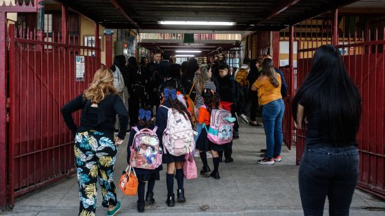 Modificaciones al SAE: ¿qué dicen realmente las fuentes que cita el Ejecutivo?