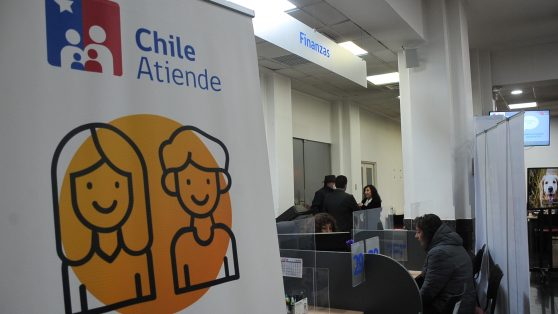 El Estado como botín: entre los "amarres" y la erosión sistémica de las capacidades del Estado