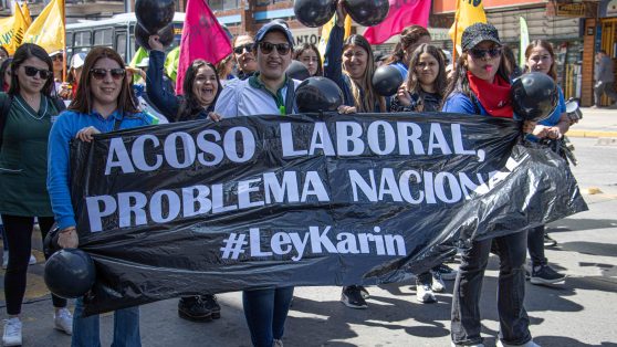Ley Karin: avances visibles, eficacia limitada en el Estado
