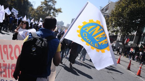 “Parásitos” y “grasa del Estado”: los funcionarios públicos en la mira