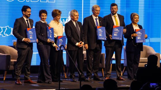 Encuesta UDP: el perfil de los miedos y rabias y la elección presidencial