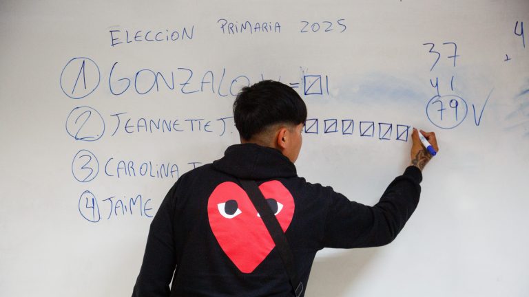 Elecciones primarias y participación electoral: radiografía de un fracaso relativo