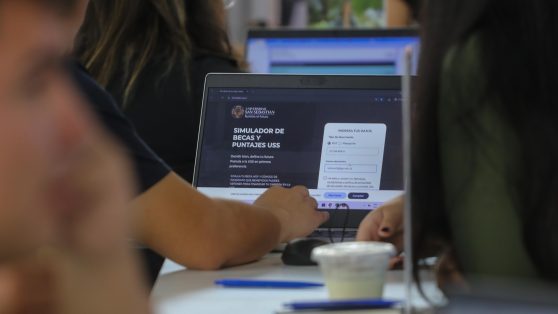 PAES, rankings y el desprestigio silencioso de la educación pública