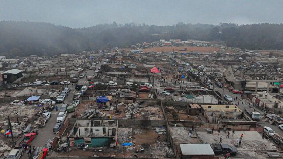 Incendios forestales: la catástrofe anunciada y la educación que no llega