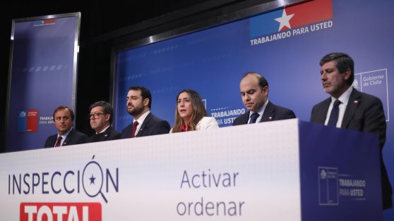 La ilusión del control: el vínculo político en la auditoría pública