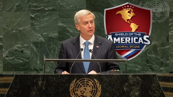 El escudo y la mano que lo sostiene