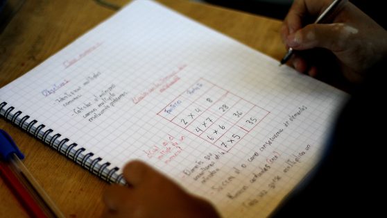 Sobre la brecha de género en matemáticas, una vez más
