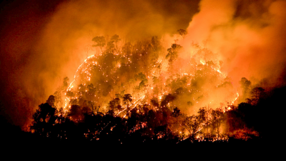 Ud. y yo: la principal causa de los incendios forestales en Chile