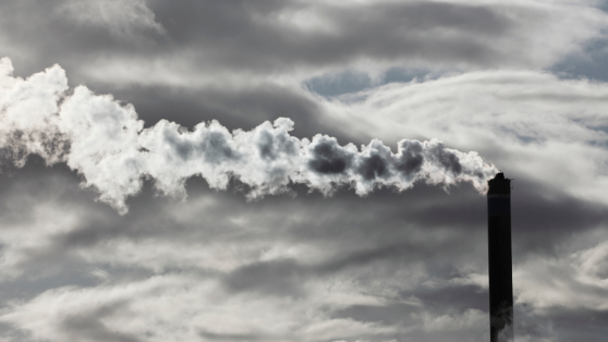 Pensando en cómo crecer económicamente a pesar del cambio climático