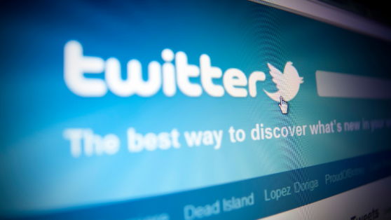 La red social Twitter y el proceso constituyente: el caso de las cuentas anómalas