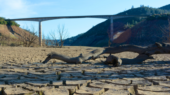 El avance de la desertificación II: los millonarios subsidios de riego a agroexportadoras