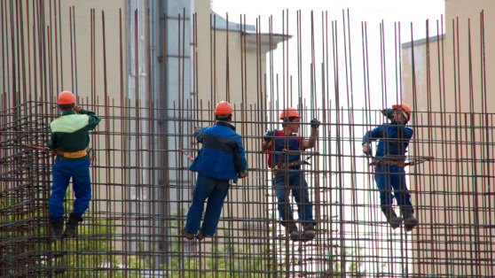 ¿Trabajadores en los directorios? Qué dice la evidencia