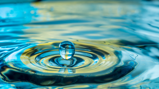 Respetar el ciclo del agua desde la institucionalidad