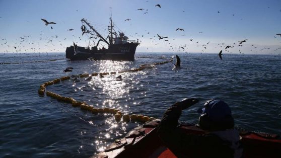 Urgencia máxima para nueva Ley de Pesca: solo limita a 20 años licencias perpetuas