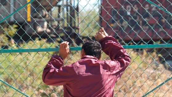 Programa Frontera Sur: Cacería de migrantes en México