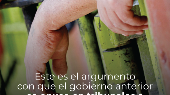 Este es el argumento con que el gobierno anterior se opuso en tribunales a rebajar las condenas de agresores sexuales de niños