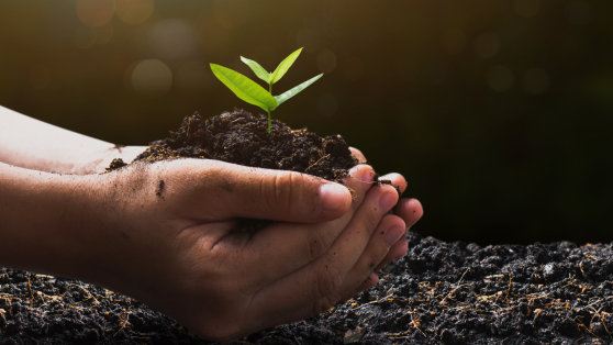 26 de enero: Día Mundial de la Educación Ambiental