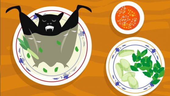 Murciélagos, serpientes, civetas... ¿de dónde ha salido el nuevo coronavirus?