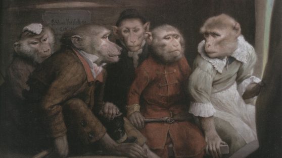 Monos peludos y güiñas: animales para ser pensados