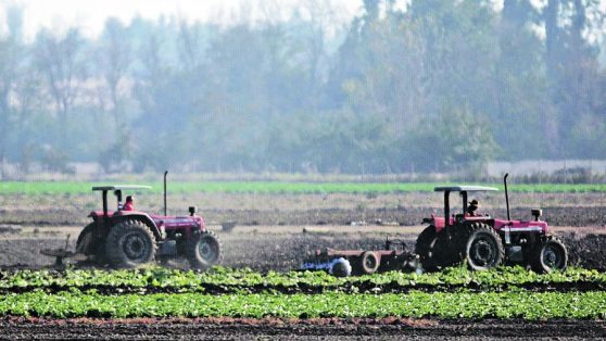 Manifiesto por la agricultura familiar: primera línea de la alimentación