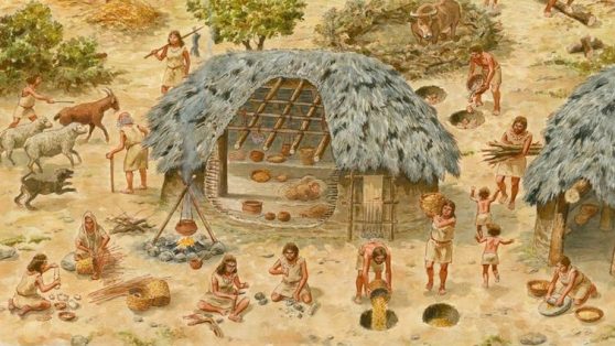 Los antecedentes neolíticos de la desigualdad de género