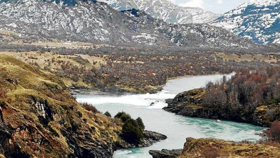 Pangasius en la Patagonia: el “pez rata” en el menú de los jardines infantiles