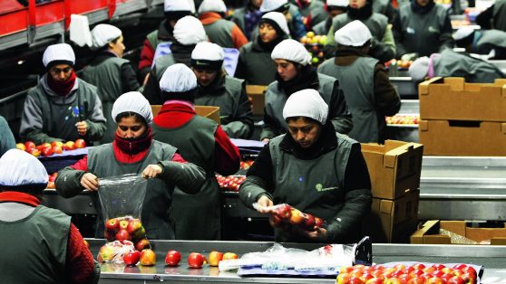 Salarios y productividad: a veces el huevo, otras veces la gallina