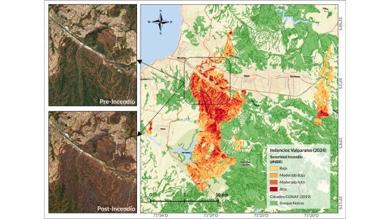 Incendios y daño ecológico