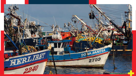 Tras el retiro de la nueva Ley de Pesca: los cambios que quiere el oficialismo y que podrían dar continuidad a la "Ley Longueira"