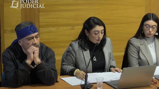 Los párrafos de la condena a Llaitul que amenazan la libertad de expresión