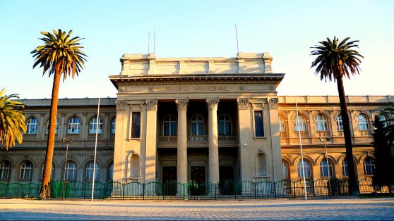 Biólogo denuncia maltrato de director del Museo de Historia Natural