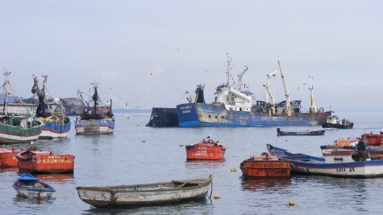 El talón de Aquiles del futuro de la Ley de Pesca