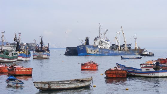 Ley de Pesca: ¡Más de lo mismo!