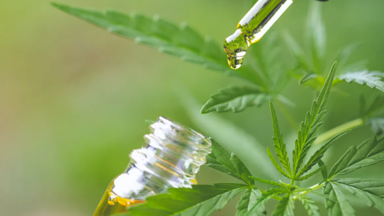 Todo lo que debemos saber sobre el cannabidiol