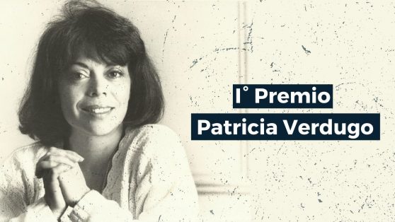 CIPER gana tres categorías del Premio Patricia Verdugo de LaRed