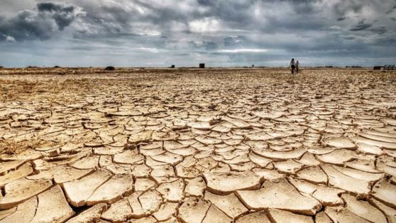 Avanza el desierto en los valles semiáridos de Chile