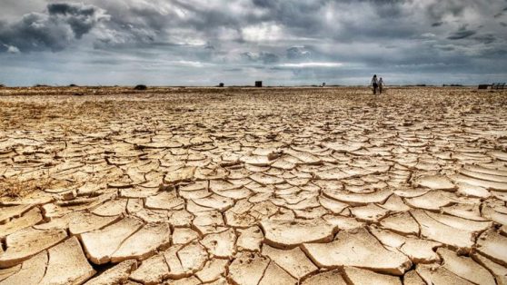 El avance de la desertificación: las 22 mil hectáreas de bosque nativo que CONAF aprobó talar sin reforestar